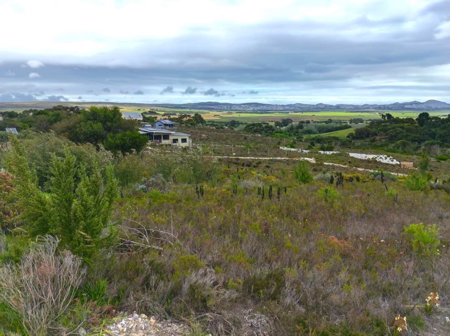 0 Bedroom Property for Sale in Baardskeerdersbos Western Cape